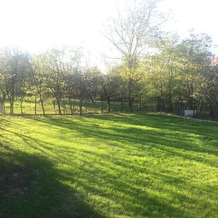 Green Nest Бэнешти Экстерьер фото