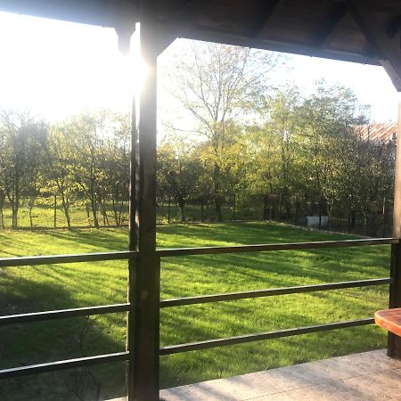 Green Nest Бэнешти Экстерьер фото