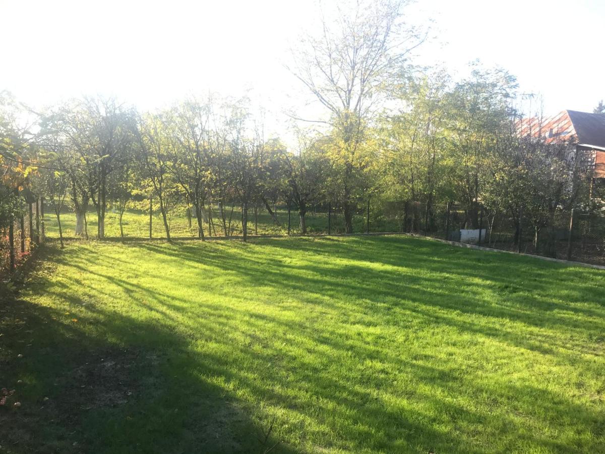 Green Nest Бэнешти Экстерьер фото