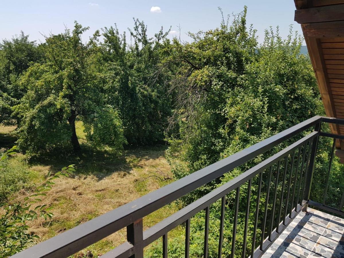 Green Nest Бэнешти Экстерьер фото
