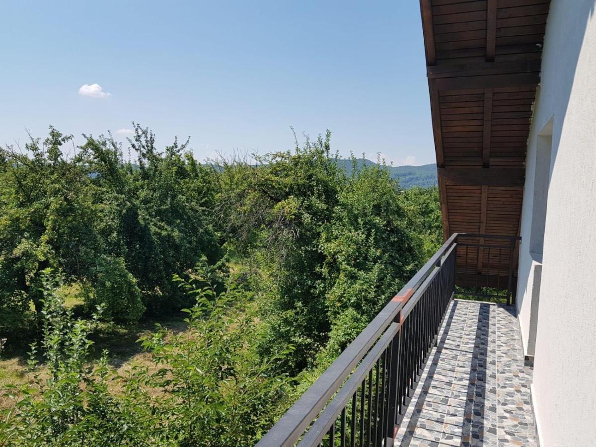 Green Nest Бэнешти Экстерьер фото